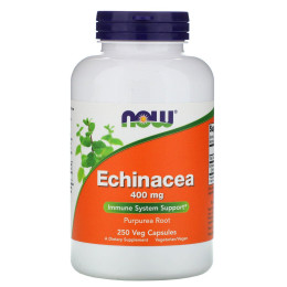 Эхинацея Now Foods (Echinacea) 400 мг 250 растительных капсул