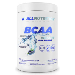 BCAA Max Support Instant - 500g Bllueberry Allnutrition