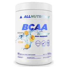 BCAA Max Support Instant - 500g Orange Allnutrition