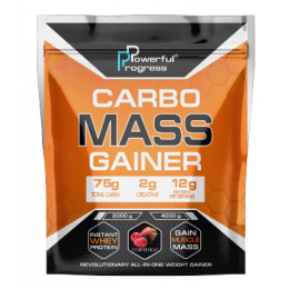 Carbo Mass Gainer - 2000g Forest Fruit Powerful Progress