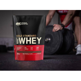 Протеїн Optimum Nutrition Whey Gold Standard 450g (Double rich chocolate) EU Optimum Nutrition