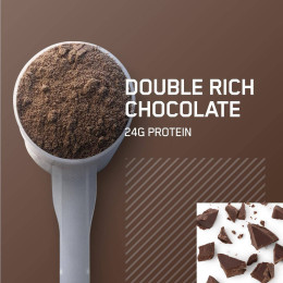 Протеїн Optimum Nutrition Whey Gold Standard 450g (Double rich chocolate) EU Optimum Nutrition