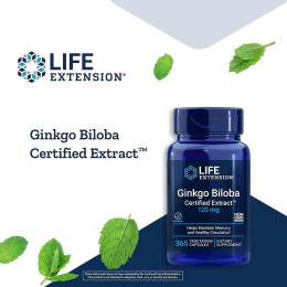 Ginkgo Biloba, Certified Extract, 120 mg, 365 Vegetarian Capsules Life Extension