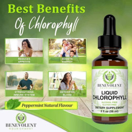 Хлорофіл Benevolent Nourishment Liquid Chlorophyll 59 ml