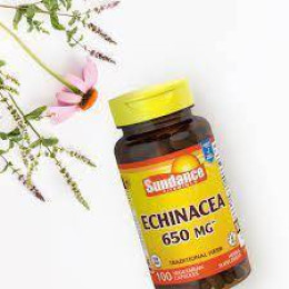 Echinacea 650 mg 100 Vegetarian Capsules Sundance