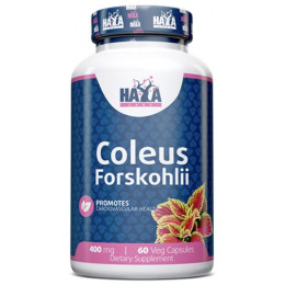 Форсколін Haya Labs Coleus Forskohlii 400 mg 60 caps