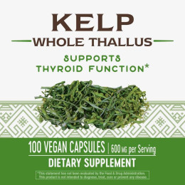 Ламинария Nature's Way Kelp Whole Thallus 600 mg 100 Vegan Capsules Nature's Way