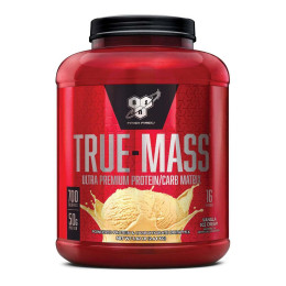 Гейнер BSN True-Mass 1200 2700 g (Vanilla Ice Cream) BSN