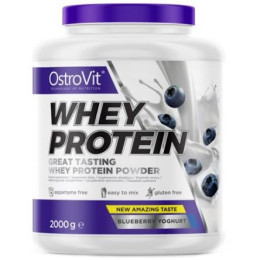 Протеин Whey Protein 2000 g (Chocolate Dream) OstroVit