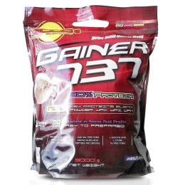 Гейнер Megabol Gainer 737 (30% protein ) 3000g (Raspberry) Megabol