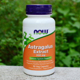 Astragalus Extract, 500 mg, 90 Veg Capsules