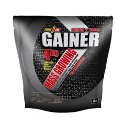 Gainer - 4000g Brazil Nut Power Pro