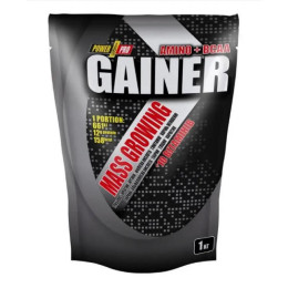 Gainer - 1000g Blueberry Power Pro