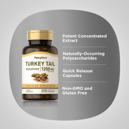 Траметес разноцветный Piping Rock Turkey Tail Mushroom 1200 mg (per serving) 200 Quick Release Capsules Piping Rock