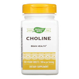 Choline 500 mg - 100 tabs Nature's Way