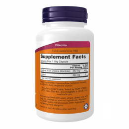 CHOLINE & INOSITOL 250/250mg - 100 vcaps Now Foods