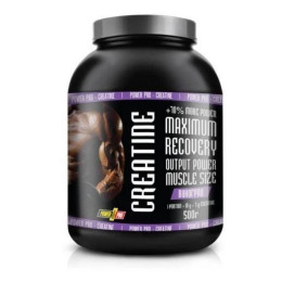 Creatine - 500g Power Pro