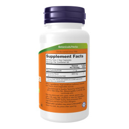 Echinacea 400 mg - 100 vcaps Now Foods