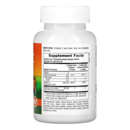 Sugarfree Vit C Chewable - 90 tabs Nature's Plus