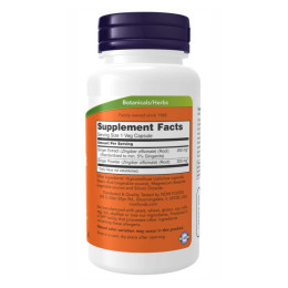 Ginger Root Extract 250mg - 90 vcaps Now Foods