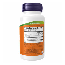 FO-TI 560mg - 100 vcaps Now Foods