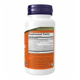 Aloe Vera 10000 & Probiotics - 60 vcaps Now Foods