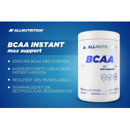 BCAA Max Support 500g (Bubble Gum) AllNutrition