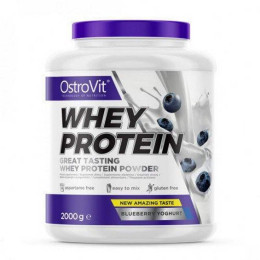 Протеїн Whey Protein 2000 g (Blueberry yogurt) OstroVit