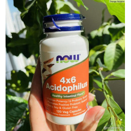 Пробіотик NOW 4X6 Acidophilus 120 Veg Capsules NOW