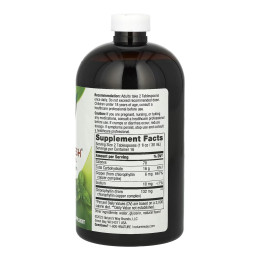 Chlorofresh® Liquid - 16 oz Mint Nature's Way