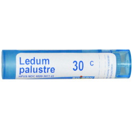 Багульник болотный 30C Boiron (Single Remedies Ledum Palustre) 80 гранул