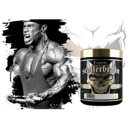 Предтренировочный комплекс Kevin Levrone Scatterbrain 270 g (Blackberry Pineapple) Kevin Levrone