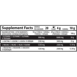 Аминокислотный комплекс BCAA + Glutamine 200 g Orange OstroVit