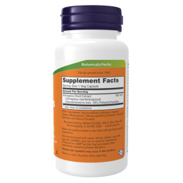 Astragalus Extract 500mg - 90vcaps Now Foods