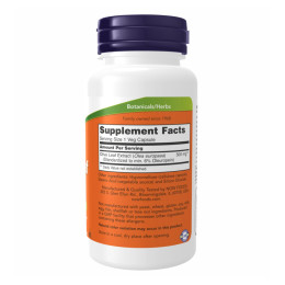 Olive Leaf Extract 500mg - 120 vcaps Now Foods