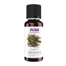 Citronella Oil - 30ml Now Foods