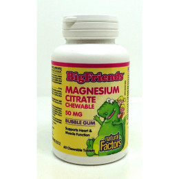 Big Friends, Magnesium Citrate 50 mg 60 Chewable Tablets (Bubble Gum) Natural Factors