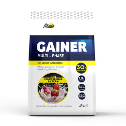 Gainer - 1500g Strawberry and Cream FitWin