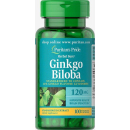 Стандартизований екстракт гінкго білоба, Ginkgo Biloba Standardized Extract, Puritan's Pride, 120 мг, 100 капсул