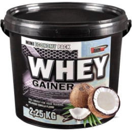 Гейнер Vision Nutrition Whey Gainer 2.25 кг Coconut Vision Nutrition