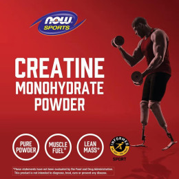 Creatine Monohydrate 600g NOW