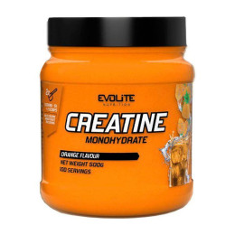 Креатин Моногідрат (Creatine Monohydrate) Evolite Nutrition у порошку, 500 г, Апельсин