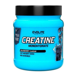 Креатин Моногідрат (Creatine Monohydrate) Evolite Nutrition у порошку, 500 г, Черниця