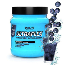 Хондропротектор (Ultra Flex), Evolite Nutrition, 390 г, Чорниця