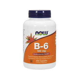 Вітамін B6 (Vitamin B6) 100 мг, Now Foods, 250 капсул