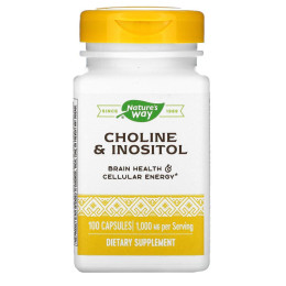 Холін і інозитол, Choline & Inositol, Nature's Way, 500 мг, 100 вегетаріанських капсул