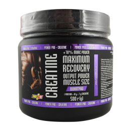 Power Pro Creatine Maximum Recovery with flavour (500 g, виноград)