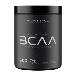Powerful Progress BCAA 2:1:1 (500 g, apple juice)
