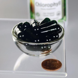 Хлорофіл, Chlorophyll, Swanson, 90 капсул