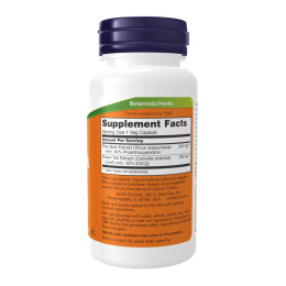 Pine Bark Extract 240mg - 90 caps Now Foods